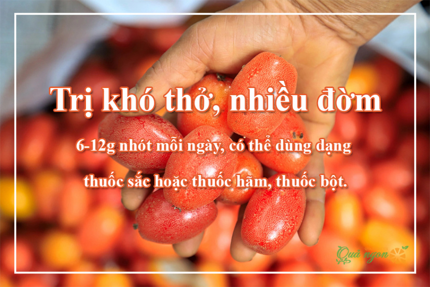 image 8 loi ich suc khoe cua qua nhot va bai thuoc hieu qua 165721104869826 Em Vào Bếp