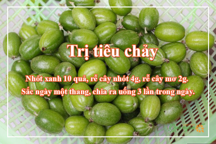 image 8 loi ich suc khoe cua qua nhot va bai thuoc hieu qua 165721104990524 Em Vào Bếp