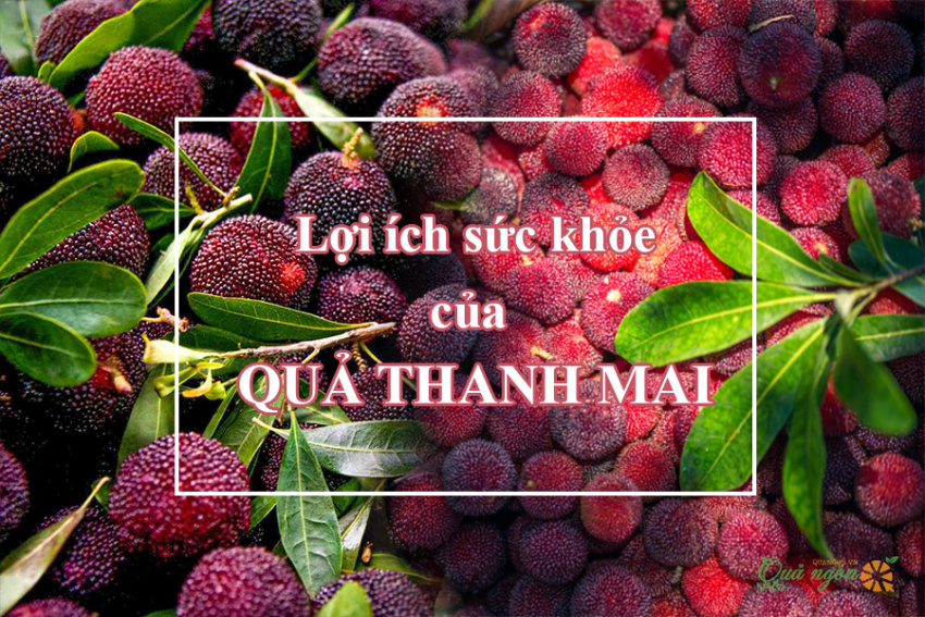 image 8 loi ich tuyet voi cua qua thanh mai doi voi suc khoe 165721026835963 Em Vào Bếp