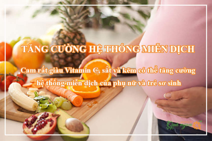 image an cam khi mang thai co an toan khong loi ich cho ba bau 165721116494841 Em Vào Bếp