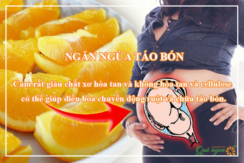 image an cam khi mang thai co an toan khong loi ich cho ba bau 165721116523594 Em Vào Bếp