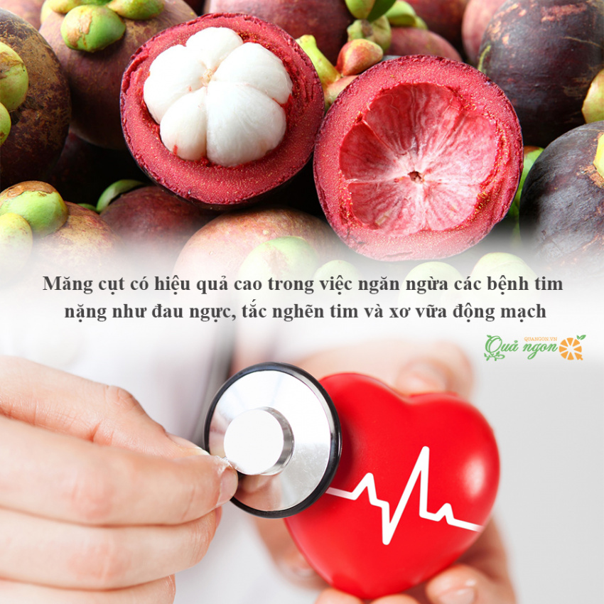 image gia tri dinh duong va nhung loi ich bat ngo cua mang cut 165721117723066 Em Vào Bếp