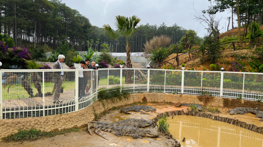 image ho thuy quai da lat nhac den buon lang vang danh am thuc 165754186030974 Em Vào Bếp