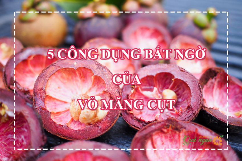 image top 5 cong dung bat ngo tu vo mang cut va cach dung 165721149913256 Em Vào Bếp